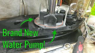 Mercruiser Water Pump Replacement  Mercruiser Gimbal Ring Replacement Ep 10 [upl. by Junji]