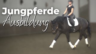 ✨ 4j Pferd korrekt ausbilden 🐴  Takt amp Losgelassenheit spielerisch erarbeiten🤓 [upl. by Naoj]