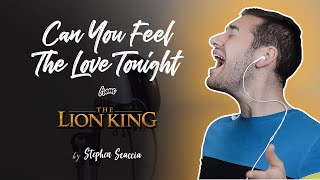 Can You Feel The Love Tonight  The Lion King cover by Stephen Scaccia [upl. by Wulfe]