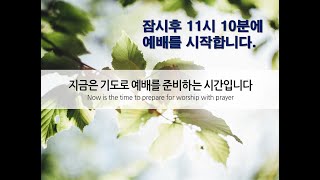 바울교회 사랑부 25년3월2일 [upl. by Ecnarretal]