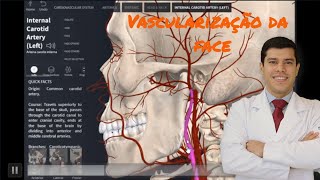 Vascularização da Face  Aula gratuita Método BMF [upl. by Elconin]