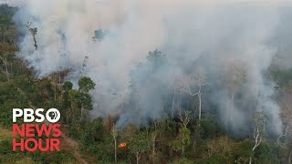 WATCH Fires spread through the Amazon rainforest [upl. by Yreffoeg725]