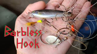 Barbless hooks WHY I USE THEM 90 of the time [upl. by Ahtel]