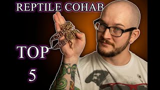 Reptile Cohabitation The Top 5 Reptiles That Can Cohab Successfully And How To Do It [upl. by Milson]