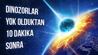 Dinozorların Nesli Tükendikten 10 Dakika Sonra Neler Olduğunu İzleyin [upl. by Kantos]