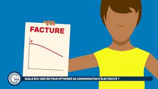 Quels écogestes pour optimiser sa consommation d’électricité [upl. by Holmen448]