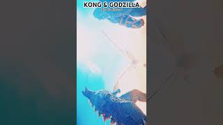 Kong amp Godzilla Fight scene hd shortlove shorttrending Hollywood [upl. by Dahs]