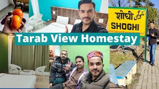 Homestay in Shoghi Shimla 😀 Tarab View Homestay Shoghi Shimla [upl. by Aimee]