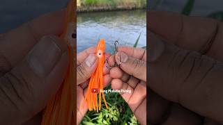 DIY FISHING TACKLE How to set fishing bait fishing tutorial fishingtips knot diy fishingknot [upl. by Nael]