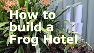 Whats in your Backyard Frog Hotel [upl. by Gant]