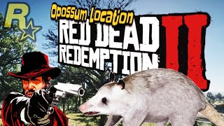 Opossum location Easy RDR2 Master Hunter Mission quotOpossum Playing Dead [upl. by Darline775]