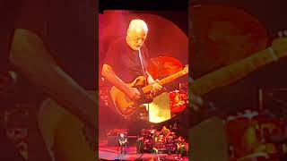 David Gilmour Intuit Dome 10252024 [upl. by Thaxter74]