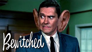 Whats Happening To Darrins Ears 👂  Bewitched [upl. by Ymerrej]