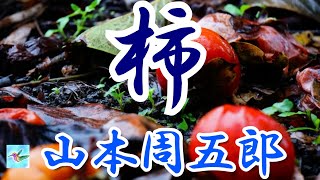 【朗読】柿 山本周五郎 読み手アリア [upl. by Aileno27]