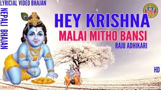 Hey Krishna Malai Mitho Bamsi Lyrical Video  Raju Adhikari Nepali Bhajan  Srd Bhakti Bhajan [upl. by Perlman]