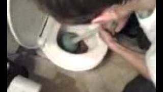 Huge Turd Clogs Toilet 18 [upl. by Evvy]