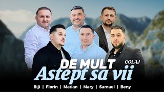 Fratii din Barbulesti  DE MULT ASTEPT VINO ISUSE  Colaj 2024 [upl. by Oivatco506]