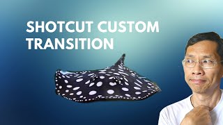 Shotcut Custom Transition [upl. by Maidie756]