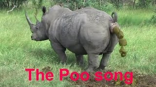 The Poo Song [upl. by Narine]