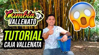 Mis Hojas Secas Binomio De Oro De América Video Letra  Sentir Vallenato [upl. by Hui157]