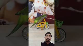 Smart Parrots trainingparrot smartparrotparrot parrottrainingparrotspeak cutepetssmartparrot [upl. by Aydni]