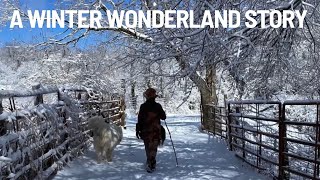 A beautiful Winter Wonderland Story [upl. by Webb]