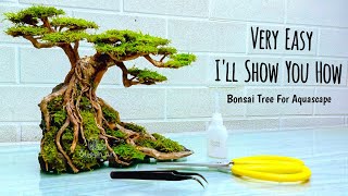 Giving a New Look to the DIY Bonsai Tree Planted Aquarium [upl. by Sardella]