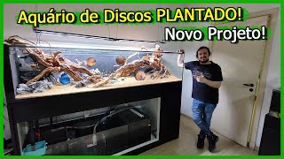 Montando um Aquário de 1000 Litros para Acará Disco PLANTADO  Hardscape [upl. by Eelyahs200]