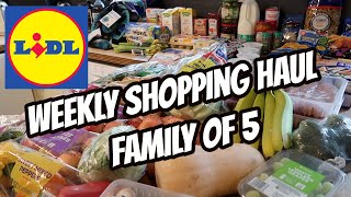 LIDL GROCERY HAUL with PRICES  BampM Bargains [upl. by Petromilli]