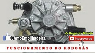 Empilhadeira funcionamento Rodogás  Impco [upl. by Haymes759]