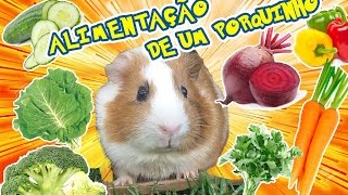 Alimentação dos Porquinhos da Índia [upl. by Fred]