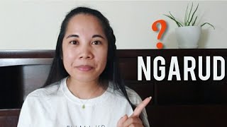 The Ilocano Word NGARUD Explained with Examples [upl. by Garmaise877]