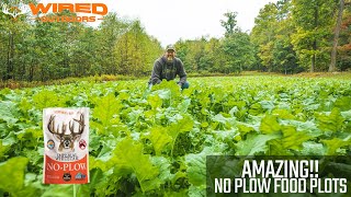 Amazing No Plow Food Plots [upl. by Romilly]