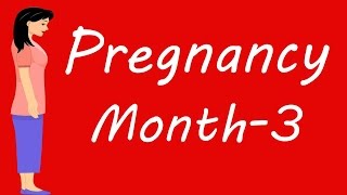 The Pregnancy  Month by month  English  Month 3  Dr Padma [upl. by Cato]