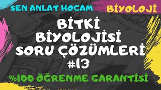 BİTKİ BİYOLOJİSİ SORU ÇÖZÜMLERİ 13  AYT BİYOLOJİ  ✅ [upl. by Tema120]