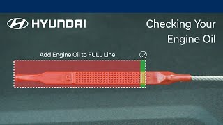 Choosing the Right Motor Oil A HowTo Guide [upl. by Seroled]