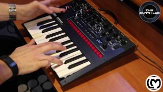 Korg Monologue Performance  No Talking [upl. by Nabru]