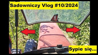 Sadowniczy Vlog 102024 [upl. by Assela410]