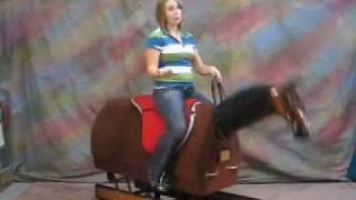 Kates Equestrian Exercises Part 1 at the Walk with the Equicizer [upl. by Sutherlan638]