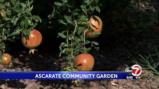 Ascarate Community Garden [upl. by Enitsirk298]