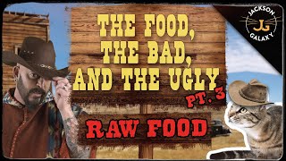 Cat Nutrition The Food The Bad amp The Ugly Part 3 Raw Food [upl. by Wistrup993]