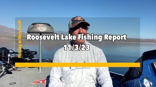 Roosevelt Lake Fishing Report 11323 [upl. by Agnes]