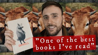 Animal Farm 1954  AniMat’s Classic Reviews [upl. by Sharman474]