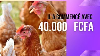 Réussir lélevage des poules pondeuses avec un petit budget [upl. by Dahcir]