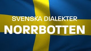 Svenska Dialekter – Norrbottniska Norrländska Voice To Me [upl. by Alo309]