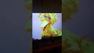 Big bird singing lullaby with elmo [upl. by Enilav65]