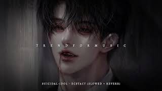 SUICIDALIDOL  ecstacy slowed  reverb tiktok [upl. by Haslam]