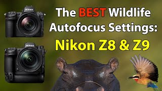 The Ultimate Nikon Z8 And Z9 AF Setup Guide For Wildlife Photography [upl. by Joanie]