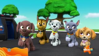 PAW Patrol  30 Mins of Adventure Bay Rescues  Nick Jr [upl. by Kendyl]