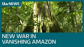 Drug gangs used to run this land – but new war in Amazon is clear to see  ITV News [upl. by Meggi123]